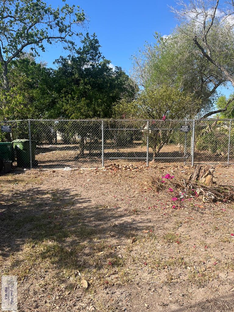 Property Photo:  -- Calle Reyna  TX 78520 