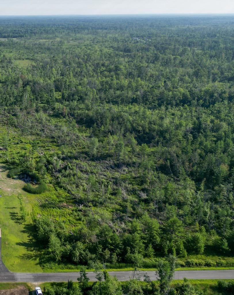 Property Photo:  30acres Driftwood Avenue  WI 54666 