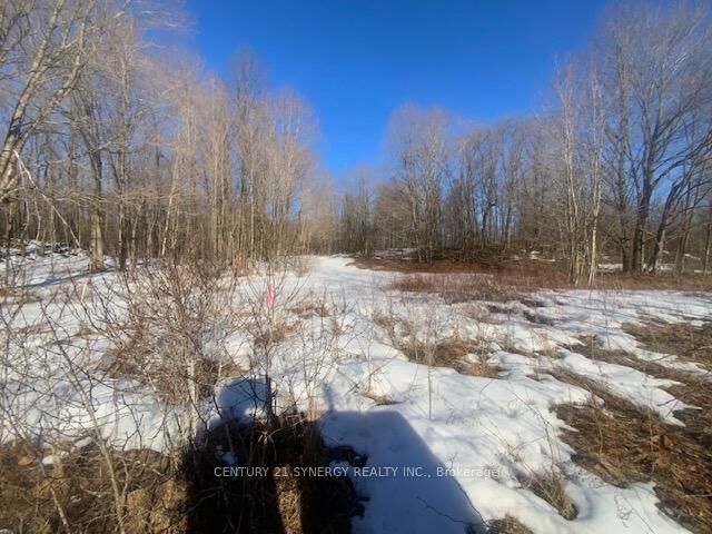 00 Lot 2 County10 Road — photo 1