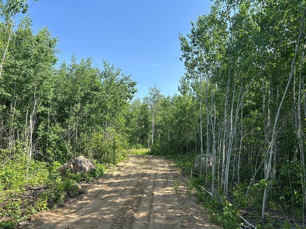 Property Photo:  4 Ironwood Point Road  MB R0E 2A0 