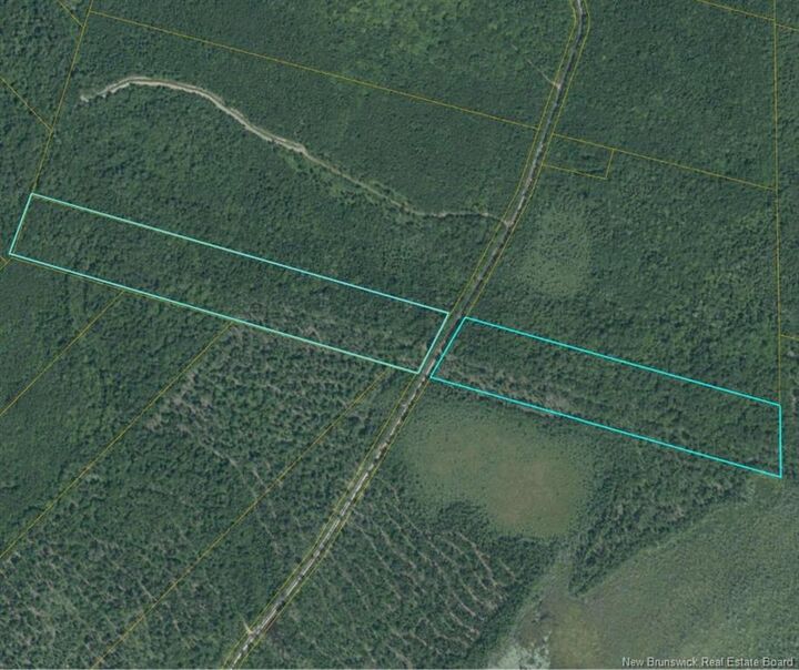Property Photo:  00 Woodlot 99 Chemin Richard - Saint-Norbert  NB E4S 2R4 