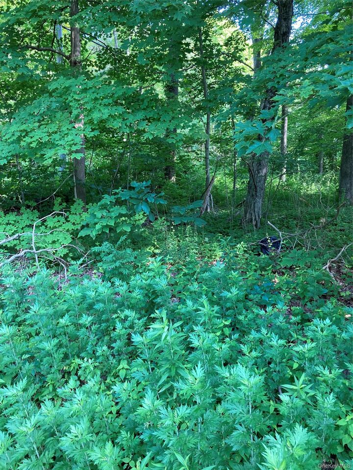Property Photo: 15 Adam Wagner Lane NY 10541