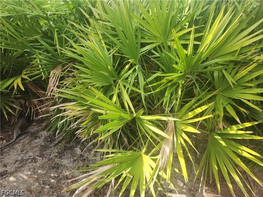 Property Photo:  544 Wabasso Avenue S  FL 33974 