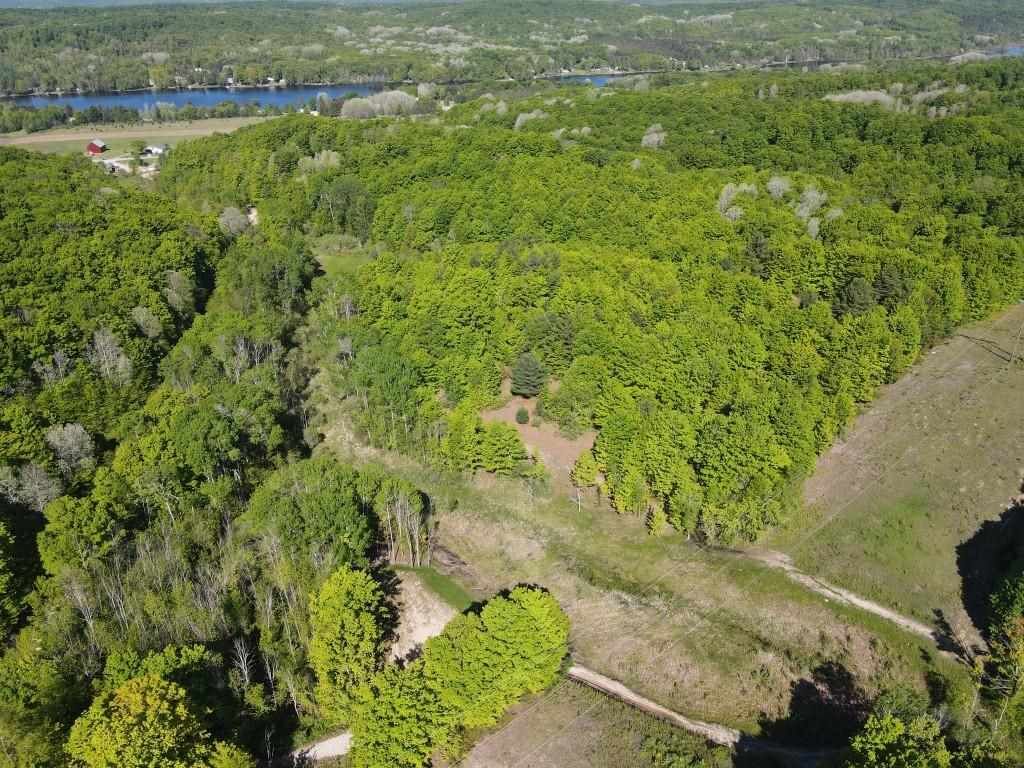 Property Photo:  Tbd Pesek  MI 49727 