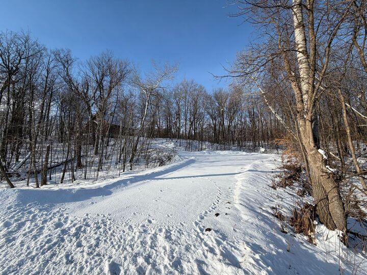 Property Photo:  Tbd Short Putt  MN 56450 