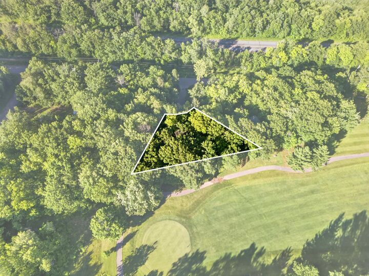 Property Photo: Tbd Short Putt MN 56450