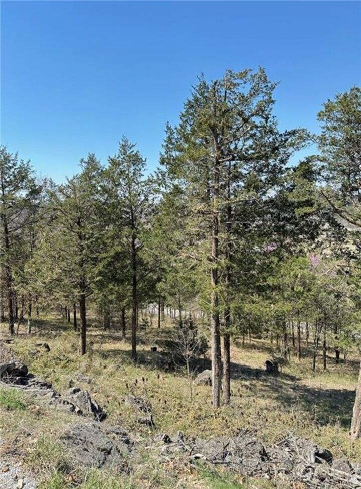 Property Photo: 9 Quailrun Lane AR 72631