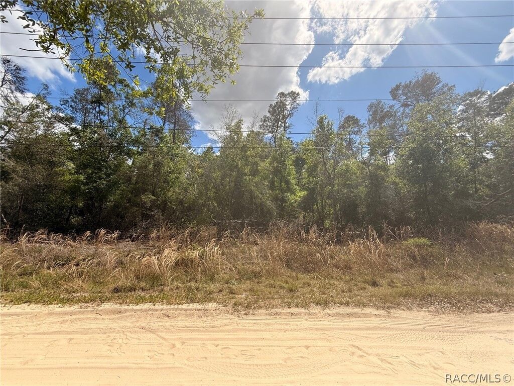 Property Photo: 2907 Clearwood Street FL 34452