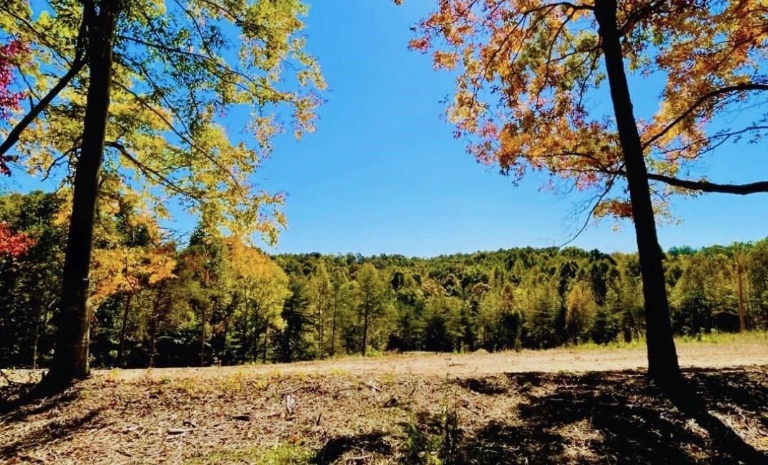 Property Photo:  Tract 4 State Park Road  KY 42717 