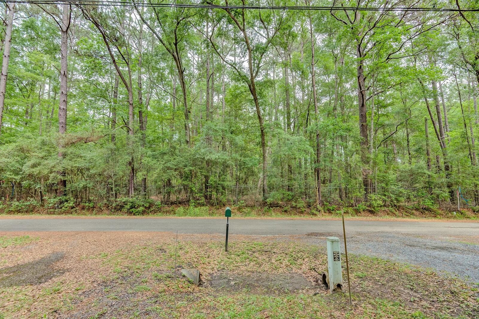 Property Photo:  133 Marilyn Street  TX 77657 