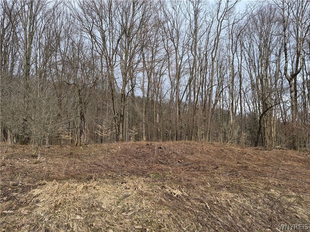 Property Photo: 0 Haines Hollow Road NY 14741