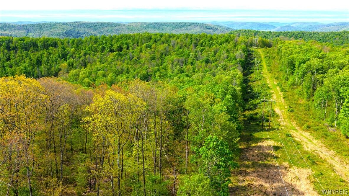 Property Photo:  0 Haines Hollow Road  NY 14741 