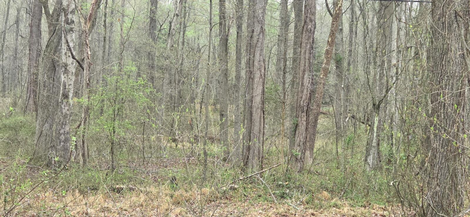 Property Photo:  Keech Road  MD 20622 