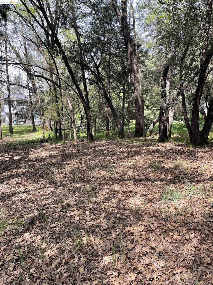 Property Photo:  16594 Creekside Dr  CA 95370 