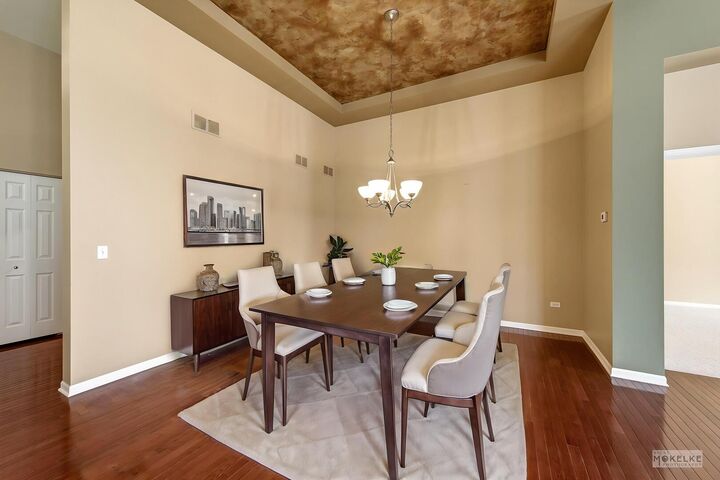 Property Photo:  700 Cheshire Court  IL 60543 