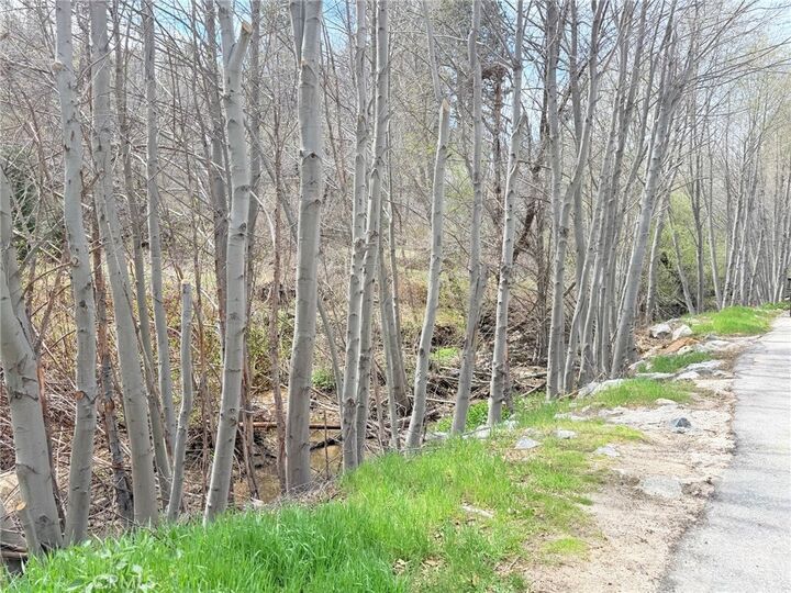 Property Photo: 29949 Hook Creek CA 92321