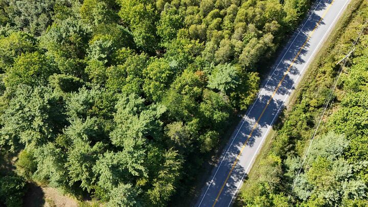 Property Photo:  Lot Highway 10  NS B4V 7R3 