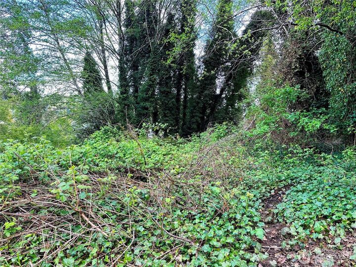 Property Photo:  816  Terrace Avenue  WA 98520 