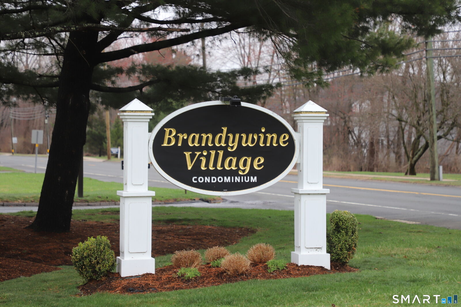 Property Photo:  61 Brandywine Lane 61  CT 06078 