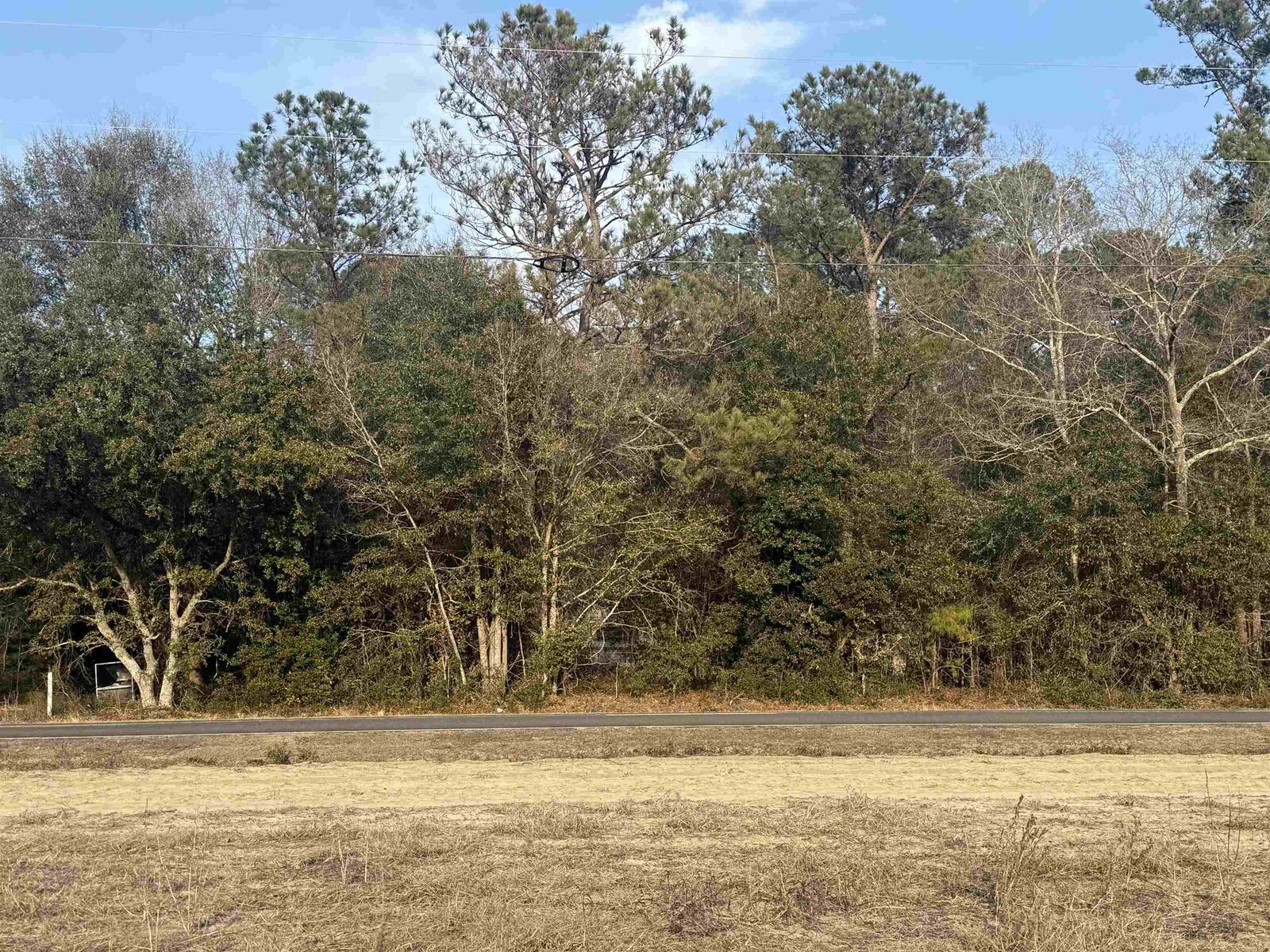 Property Photo:  120 Rough Horn Rd  NC 28438 