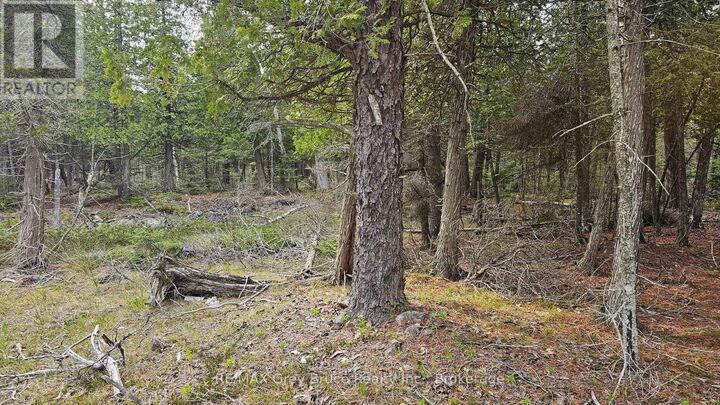 Property Photo:  Lt 255 Pedwell Pt. Drive  ON N0H 2R0 