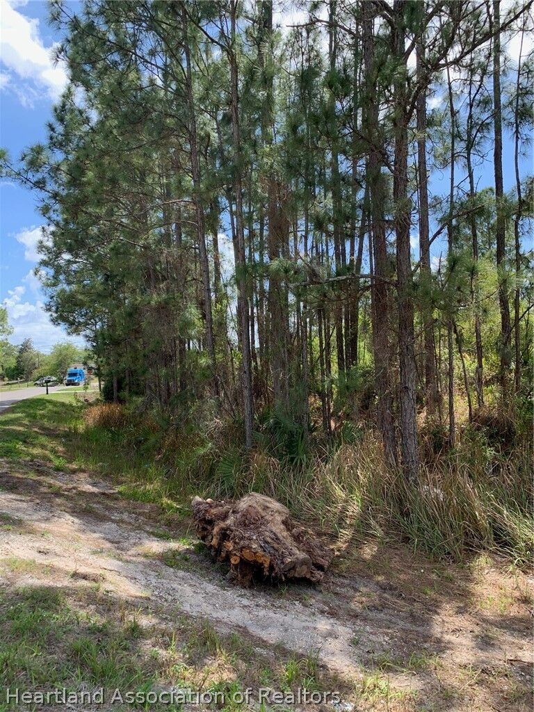 Property Photo:  113 Sunnyside Court  FL 33852 