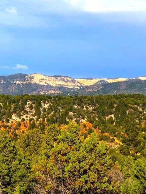 Property Photo:  5.02 Acres Francis St  UT 84762 