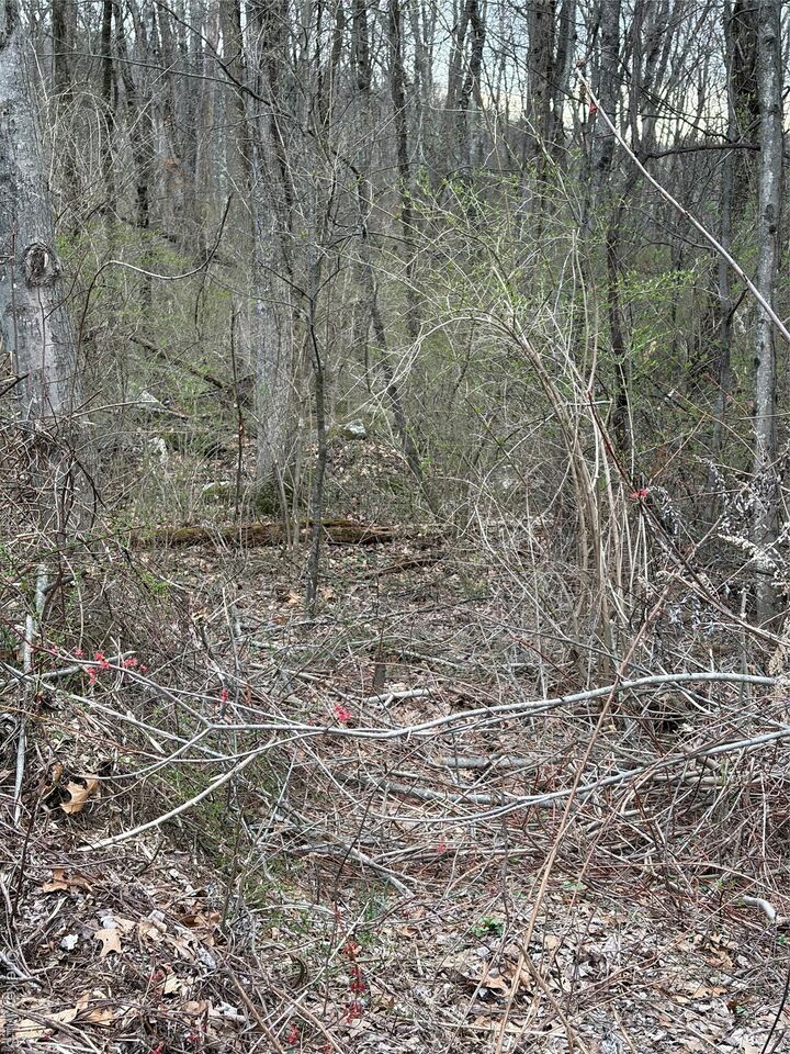 Property Photo:  Wells  NY 12550 