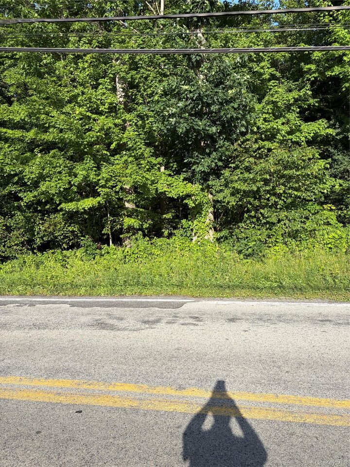 Property Photo: Wells Road NY 12550