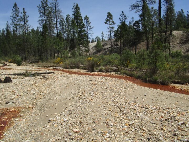 Property Photo:  15699 Tyler Foote Road  CA 95959 