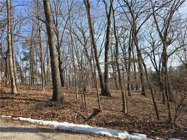 Property Photo: .44 Acres Ellenbarger Wc 516 AR 72764