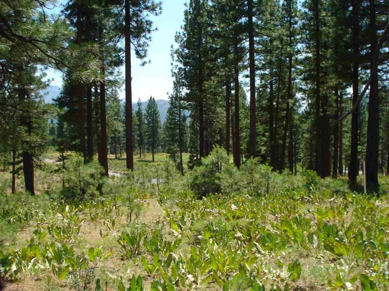 Property Photo: 69 Blacktail Ridge CA 96122