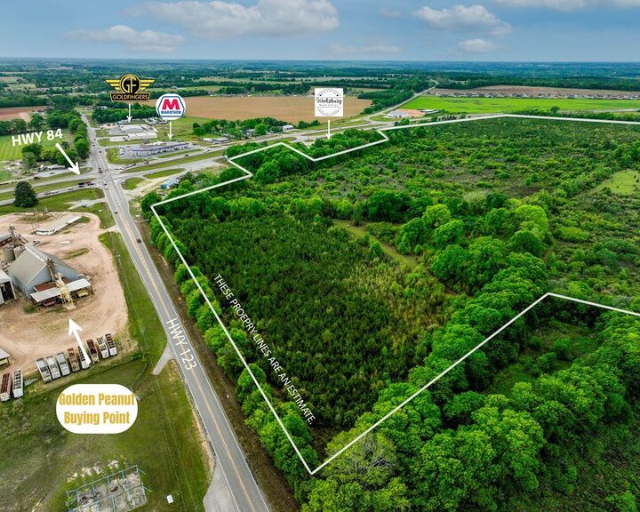 Property Photo:  190 Acres W U S 84  AL 36352 