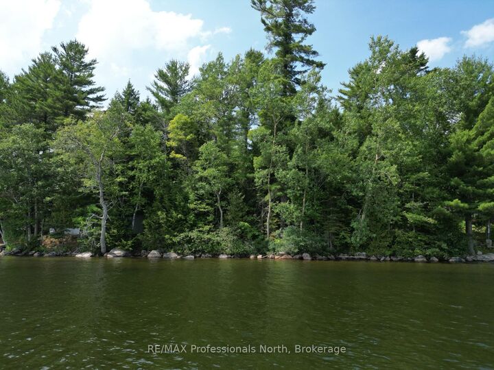 0 Halls Lake Road — photo 1