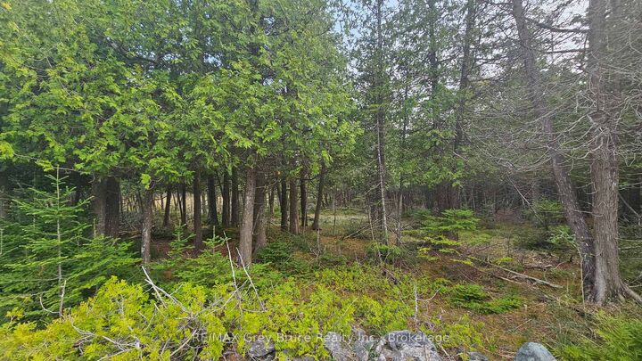 Property Photo:  Lt 254 Dorcas Bay Road  ON N0H 2R0 