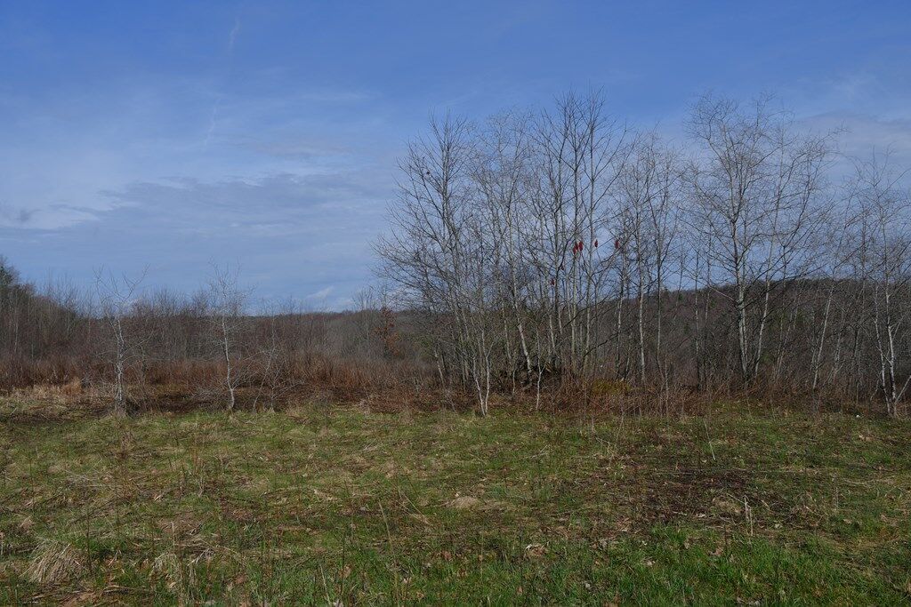 Property Photo:  0 Route 322  PA 16258 