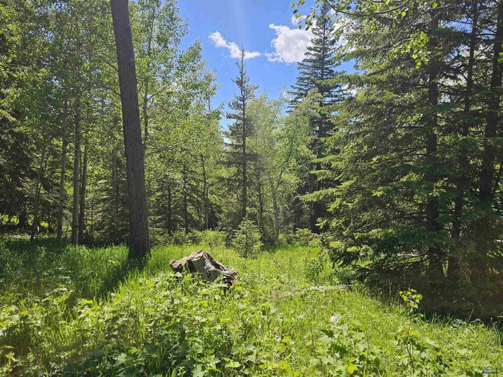 Property Photo:  Tbd Terry Peak Summit Rd  SD 57754 