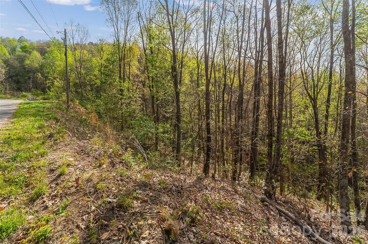 Property Photo:  0 High Peak Mountain Road  NC 28690 