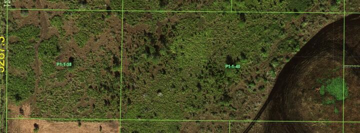 Property Photo:  48105 Bermont Road  FL 33982 