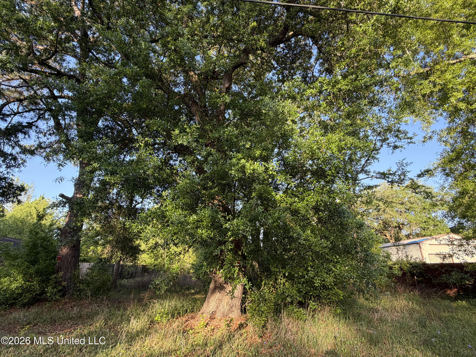 Property Photo:  No Wilkerson Circle  MS 39562 