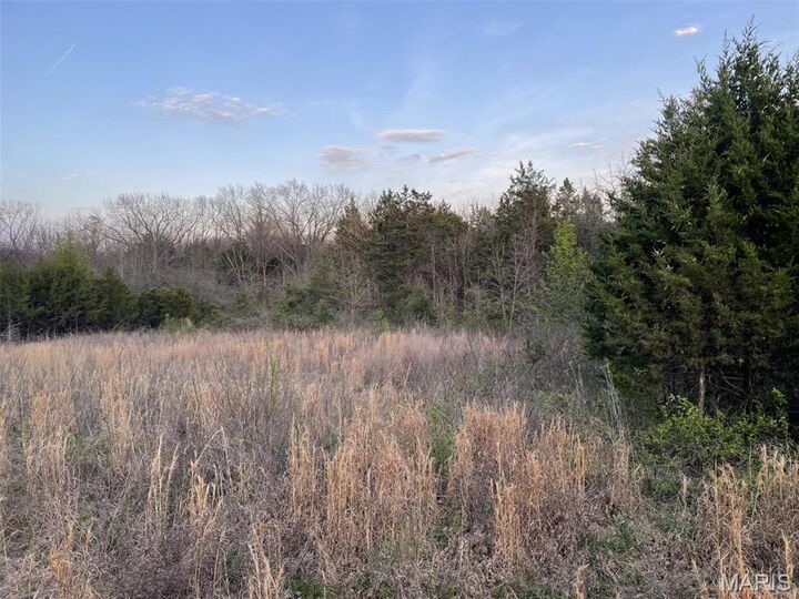 Property Photo: 263 Jordan Ridge Drive MO 63068