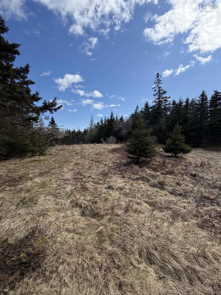 Property Photo:  Lot Dj-1 Stoney Island Road  NS B0W 3J0 