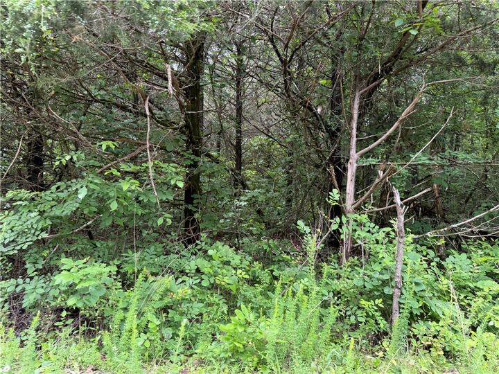 Property Photo:  Clark Lane  AR 72512 