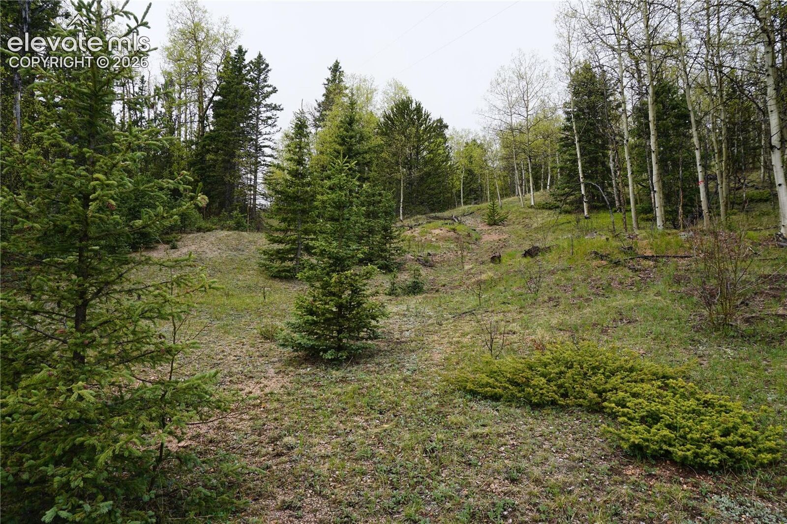 Property Photo: Vacant Land CO 80813