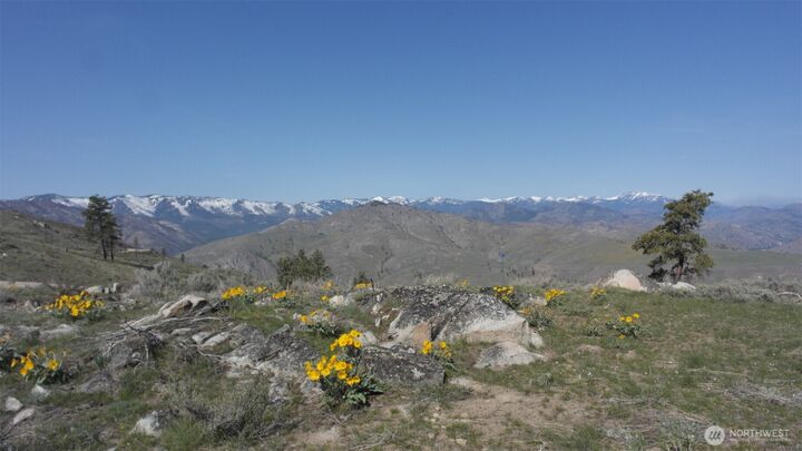 Property Photo:  31  Cowboy Road  WA 98834 