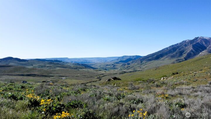 Property Photo: 31 Cowboy Road WA 98834