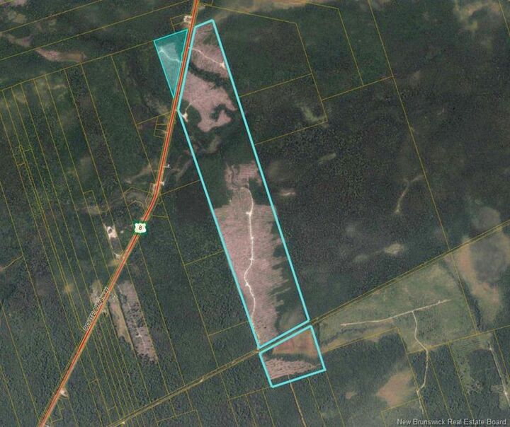 - Timberland - Rte 8 Upper Blackville — photo 1