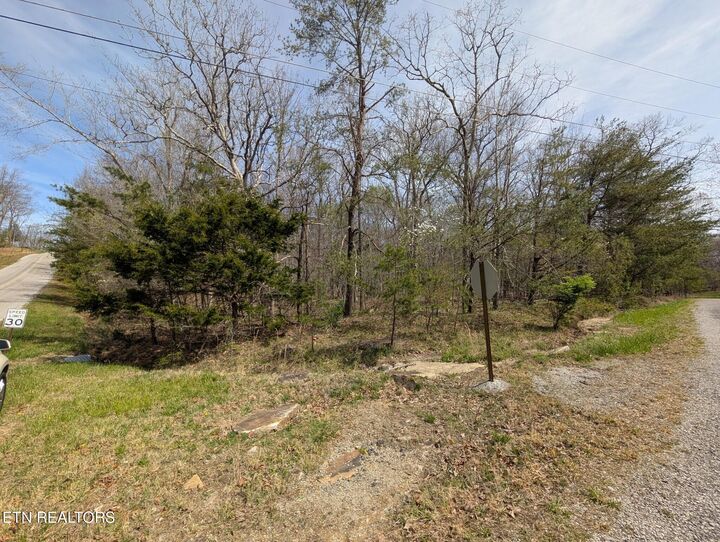 Property Photo:  119 Kings Down Drive  TN 38558 
