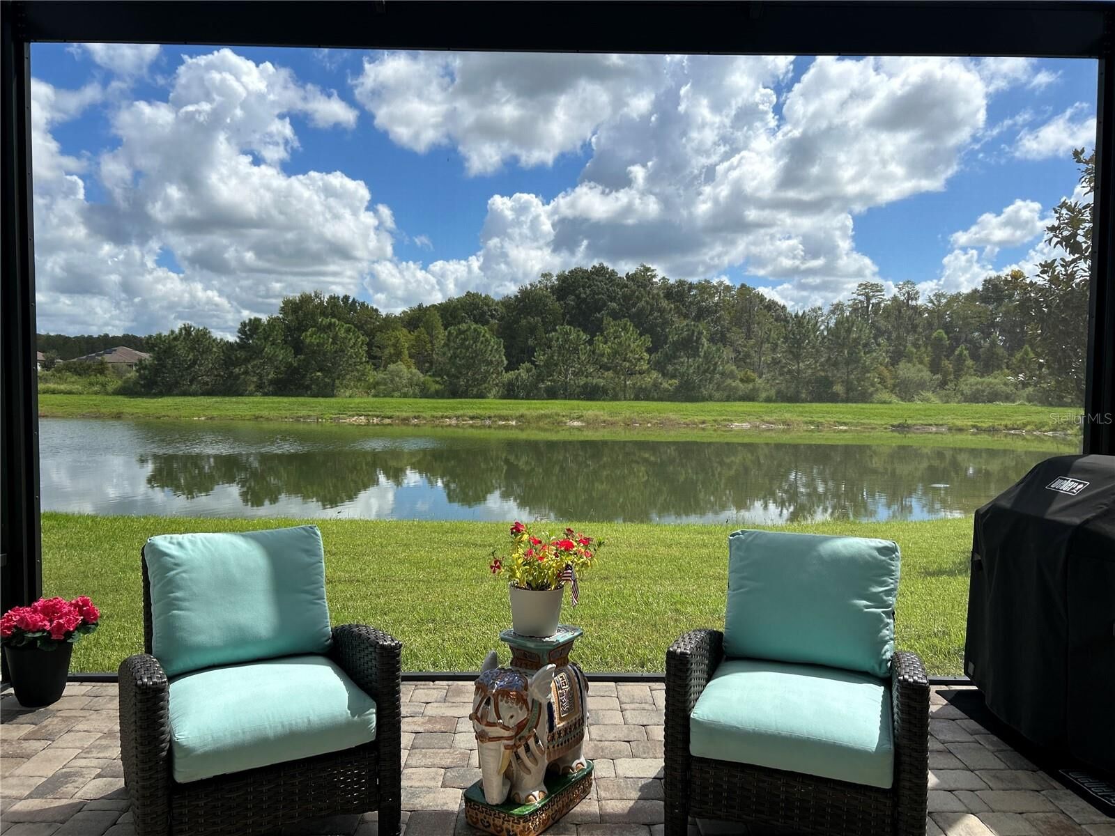 Property Photo: 4170 Barletta Court FL 33543