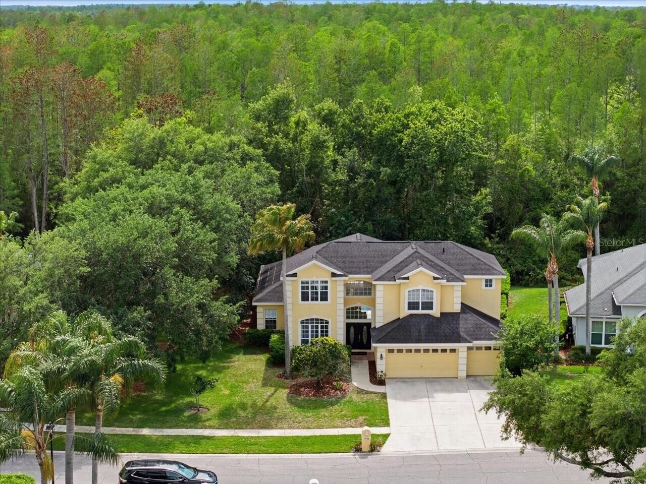 Property Photo: 19106 Saint Laurent Drive FL 33558
